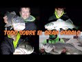 ‼️COMO PESCAR GRANDES ROBALOS A SURFCASTING‼️