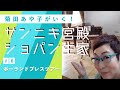 ポーランドプレスツアー#6 サンニキ宮殿　ショパン生家へ【菊田あや子チャンネル】