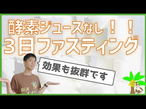 なし ファスティング 酵素