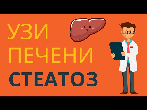 УЗИ печени. Стеатоз печени.