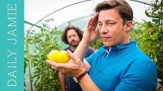 LET'S TALK ABOUT TOMATOES! | Jamie Oliver