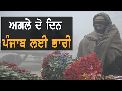 ਦੋ ਦਿਨ ਪਵੇਗਾ ਭਾਰੀ ਮੀਂਹ, ਛਿੜੇਗਾ ਕਾਂਬਾ | TV Punjab