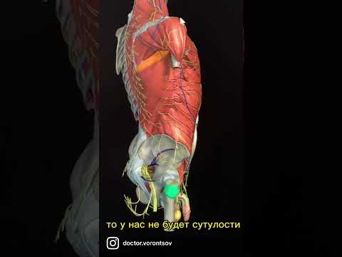 Как убрать живот?