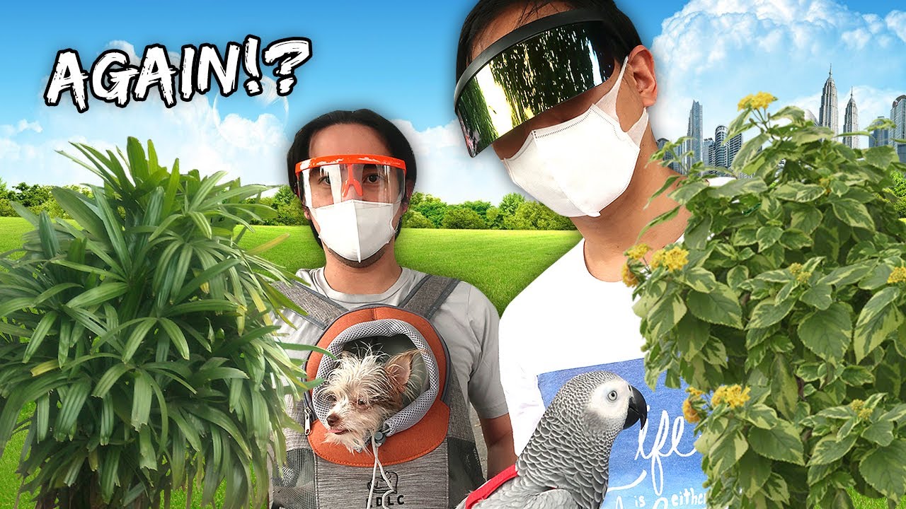 Manila Goes Back Into Lockdown | Vlog 