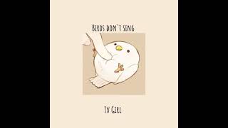 Birds don't sing - Tv girl 1 hour