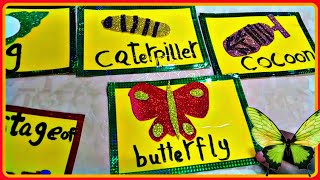 مراحل نمو الفراشة/Life stage of butterfly 🦋 منهج ديسكفر رياض الأطفال kg1!