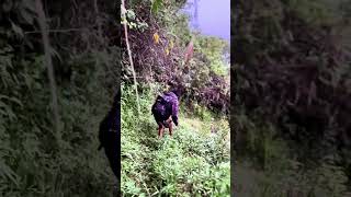 Nuansa Alam Pedesaan #alampedesaan #nature #shorts