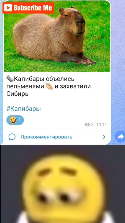 капибара #мем #рофл #новости #капибара - YouTube