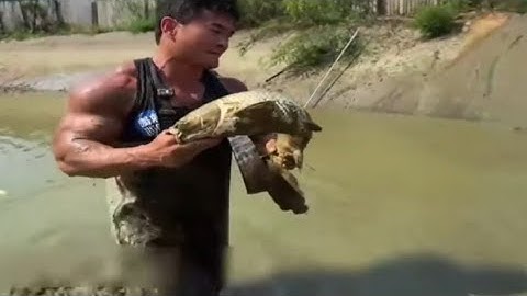 Cương bắp bỏ ra 15.000 tệ mua ao cá 6 năm #fishing #batca #ca