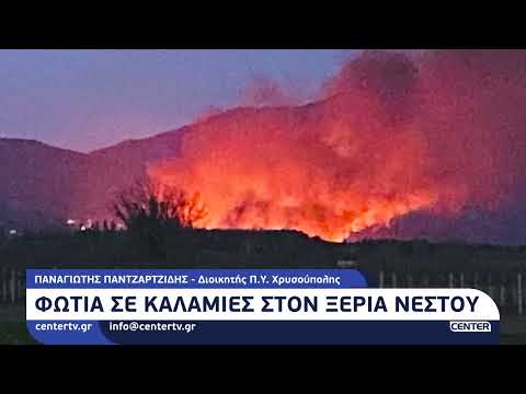 Φωτιά σε καλαμιές