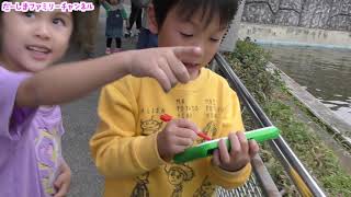 かなとくん！大好きな動物園に来たから図鑑NEOPadで写真が撮りたい♪だーしまファミリー普段の様子