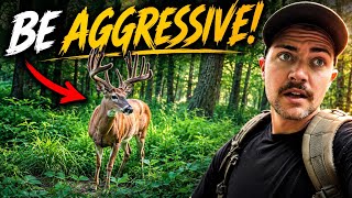 Early season hunt strategy | HILL COUNTRY bucks