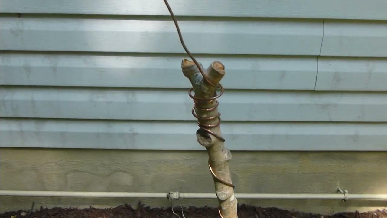 Electroculture Clockwise vs Counter Clockwise YouTube