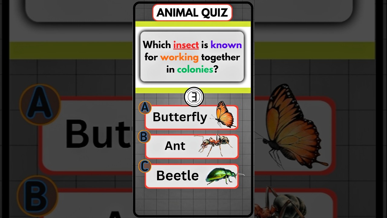 AMAZING GK QUIZ 🤯 | Animals Facts Quiz 🦒🐊🐜Neck, Reptiles & Insects Quiz | GK 153–155 🌍📏