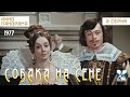 Собака на сене 2 серия 1977 год комедийный мюзикл Собака на сене 2 серия 1977 год комедийный мюзикл