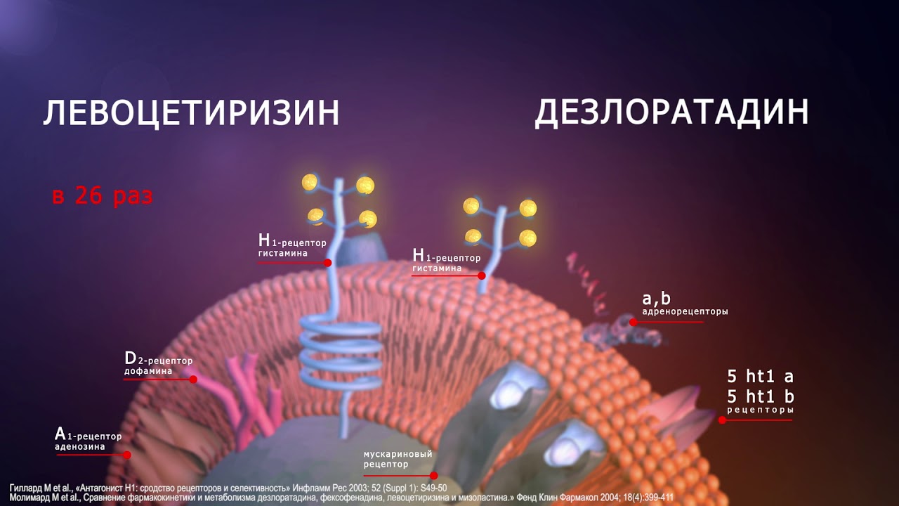 Антигистаминные механизмы. Антигистаминные средства механизм действия. Механизм антигистаминных препаратов. Механизм действия антигистаминных препаратов. Дезлоратадин механизм действия.