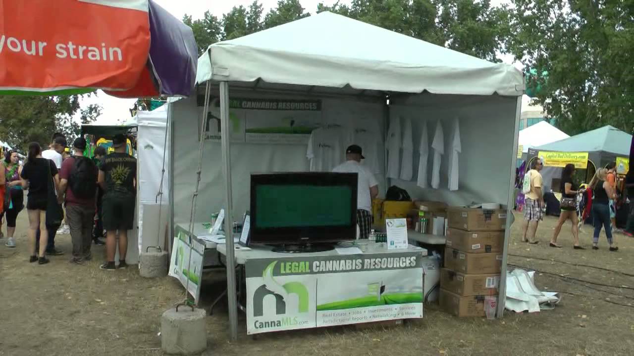 Seattle Hempfest 2013 Wandering Around