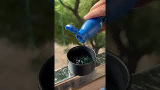 DIY Winter body lotion #bodylotion #diybodylotion #skincare #priyasbeautytips screenshot 5