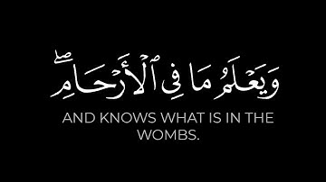 سورة لقمان | إن الله عنده علم الساعة وينزل الغيث | القارئ عبدالعزيز العسيري شاشة سوداء | كرومات قرآن