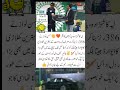 Hassan Nawaz Best Batting In PSL 10 Viralshort Crickettournament Hassan Nawaz Best Batting In PSL 10 Viralshort Crickettournament