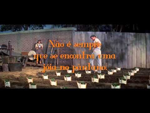 Vídeo: Flor De Pântano Incrível