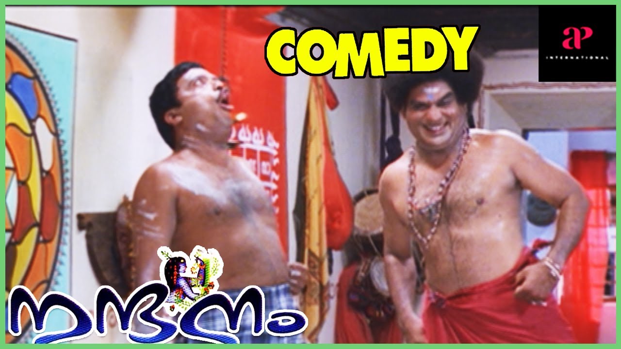 Nandanam  Nandanam Full Movie Comedy  Navya Nair  Prithviraj Sukumaran  Jagathy Sreekumar Comedy