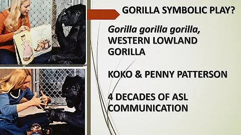 Exploring The Human-Ape Paradox: Linda Marchant - ...