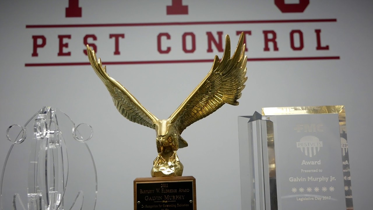 A Top Veteran Owned Company in New England Community Spotlight Yankee Pest Control YouTube