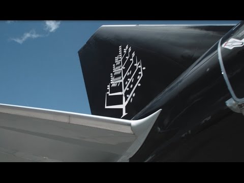 Video Four Seasons Private Jet Revealed: An Inside Look at Luxury in the Sky