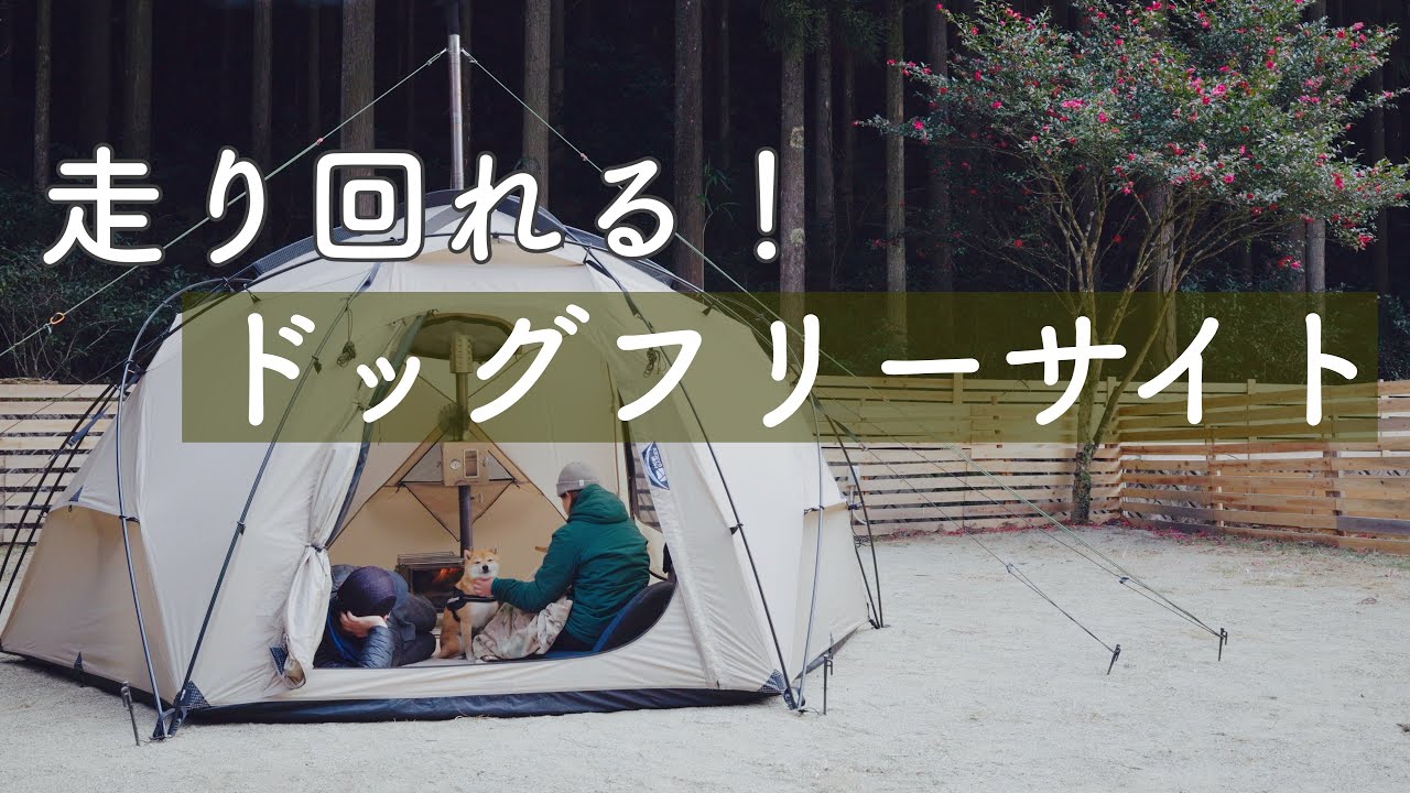 【犬連れキャンプ】小太郎岩キャンプ場 ドッグフリーサイトで冬キャンプ