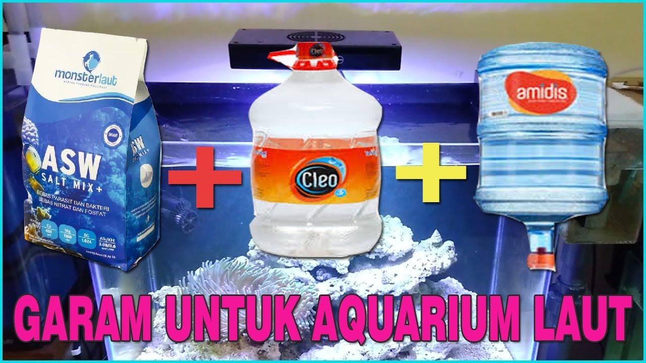 Cara Jernihkan Air Aquarium Cara Jernihkan Air Aquarium : Cara Jernihkan Air Aquarium Yang Keruh