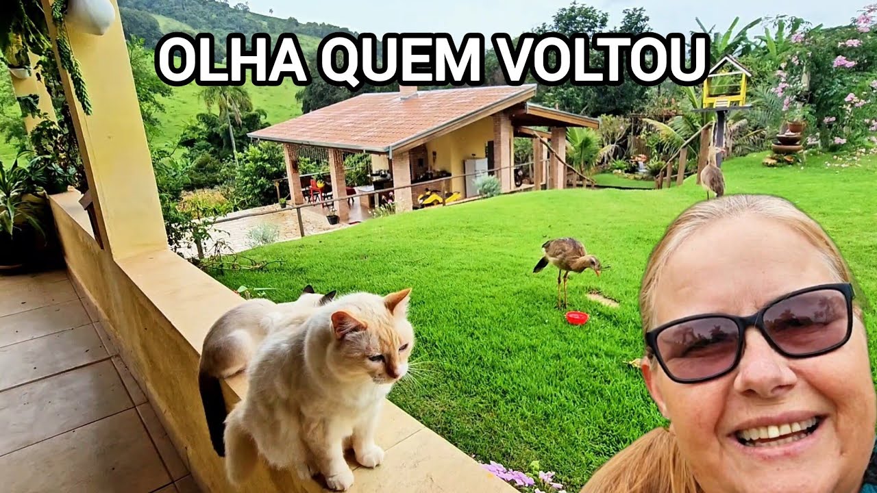 OLHA SÓ QUEM TA DE VOLTA!  MAIS UM DIA DE COLHEITA ABENÇOADA AQUI NA ROÇA.