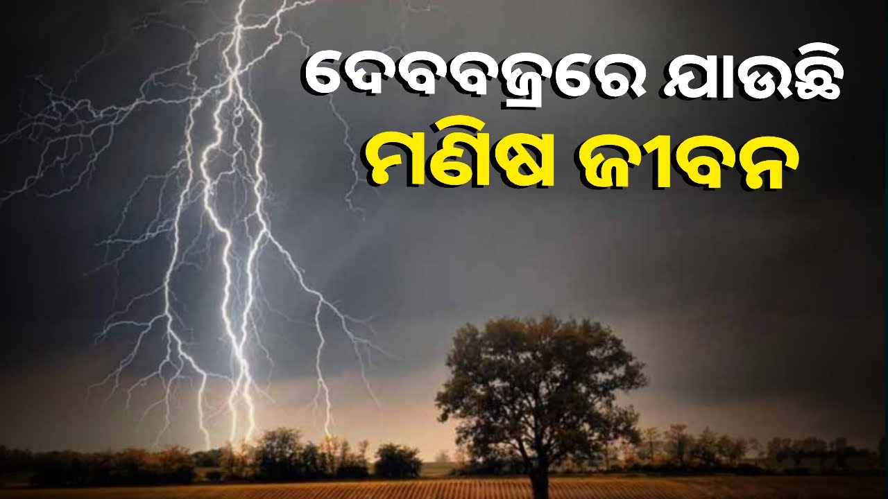 ଗଛ ତଳେ ଆଶ୍ରୟ ନେଇଥିଲେ, ପକେଟ୍‌ରେ ଥିଲା ମୋବାଇଲ୍‌ । ଘଟିଲା ଅଘଟଣ