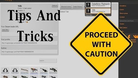 How To Avoid Getting Scammed On CsGo Lounge!!
