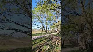 📍Amsterdam,Netherlands,tour life,A city full of nature Hilversum, #amsterdam #nature #shorts