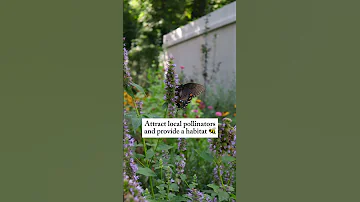 If You Want A Garden That Thrives Despite Neglect You Need Native Plants Nativeplants Gardening 