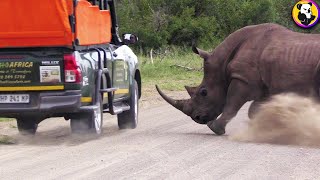 The Most Terrifying Footage of Rhino Attakcs Caught on Camera by Koala TV 435 views 11 months ago 8 minutes, 6 seconds