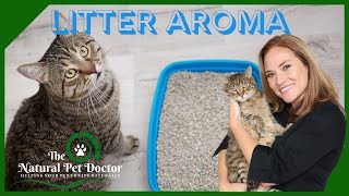 Safely Add Essential Oils to Help Your Cat with Dr. Katie Woodley  The Natural Pet Doctor