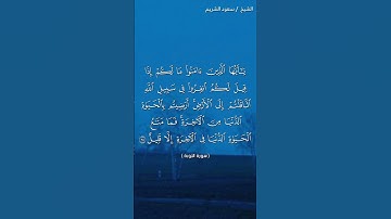 سورة التوبة ( ٣٧ - ٣٨) / سعود الشريم