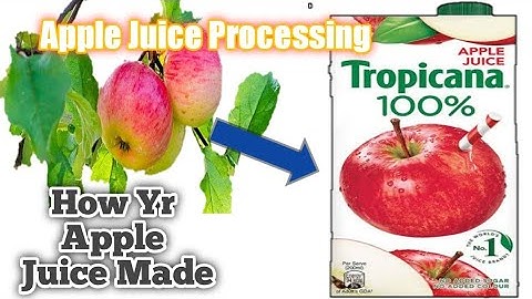 Apple Juice Processing Plant || How Apple Juice Made inside Factory || Apple Processing Factory