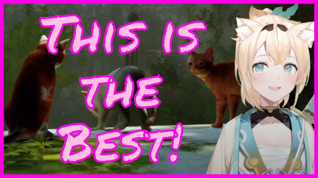 Iroha can't handle the cute Cats in Stray [Hololive]