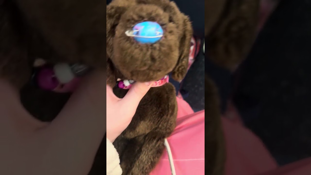 More or less my trip. No text because I’m tired. Have fun my little stars