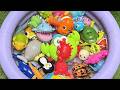 Ocean Animal Fun for Preschoolers | Learn Sea Creature Names, Sounds &amp; Toys for Kids