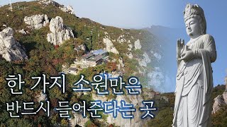 dyROkovExIc Video Image