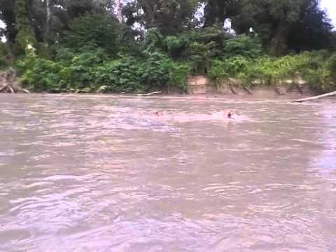 ალაზანი 2014 წ