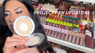 Project Pan Update #1 (help!)