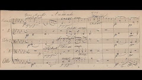 Anton Bruckner - Andante from String Quintet (1879) arr. for String Orchestra