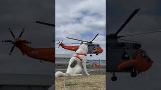 Given half the chance he’d love a ride in this helicopter! He loves the car and seeing the world