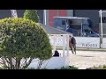 Eden du rouetgfe et franois xavier boudant  victoire 1m40 csio3 kronenberg