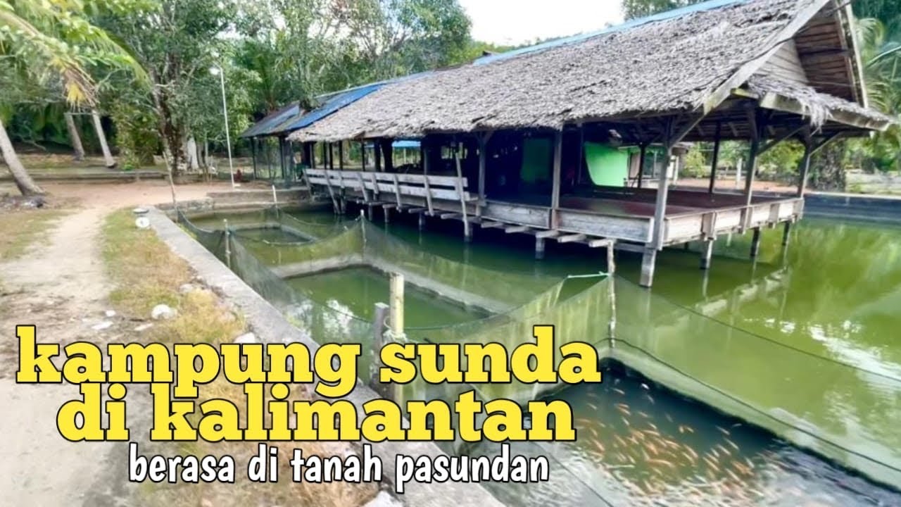 Suasana damai perkampungan Sunda di kalimantan